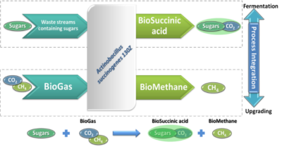 Figur 1. Concept of bioSA and methane production from biogas and waste streams.